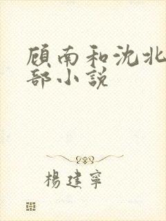 顾南和沈北是哪部小说