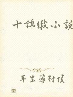 十锦缎小说