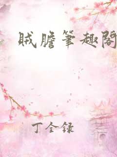 贼胆笔趣阁
