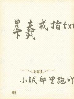 农夫戒指txt下载