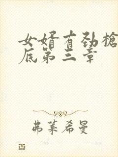 女婿有劲枪枪到底第三章