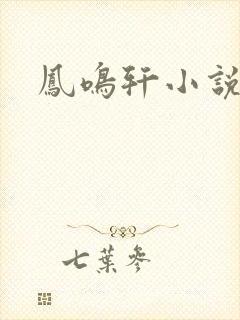 凤鸣轩小说