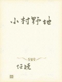 小村野地