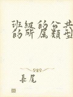 班级的公共小0的所属类型