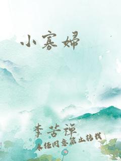 小寡妇