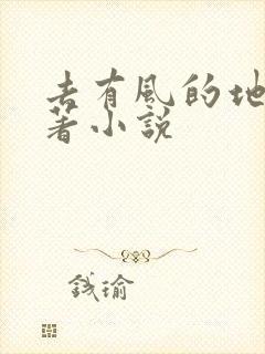 去有风的地方原著小说
