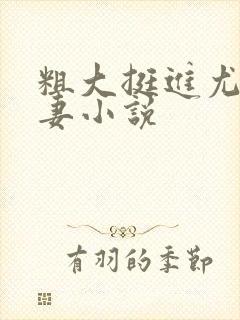 粗大挺进尤物娇妻小说