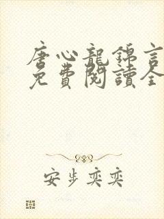 唐心龙锦言小说免费阅读全文