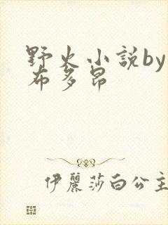 野火小说by夏布多昂