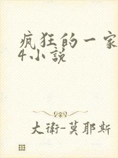 疯狂的一家PS4小说