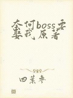 奈何boss要娶我原著