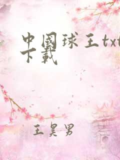 中国球王txt下载