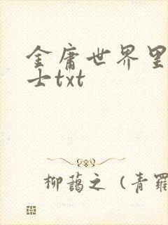 金庸世界里的道士txt