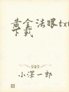 黄金法眼txt下载
