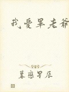 我爱毕老爷