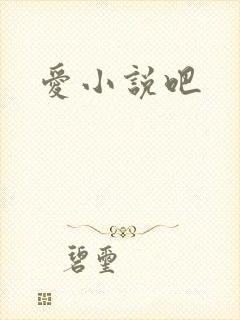爱小说吧