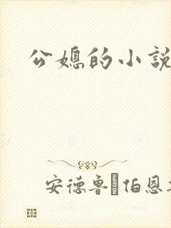 公媳的小说