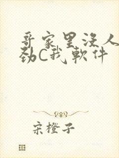 哥家里没人使点劲C我软件