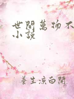 世间万物不及你小说