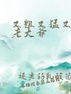 又粗又猛又大爽老大爷