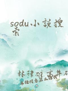 sodu小说搜索