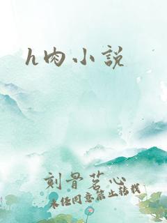 h肉小说