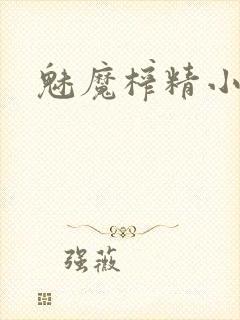 魅魔榨精小说