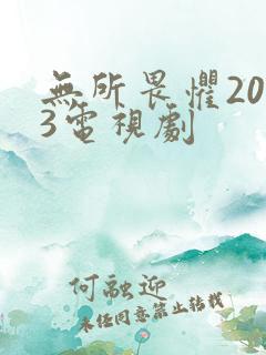 无所畏惧2023电视剧