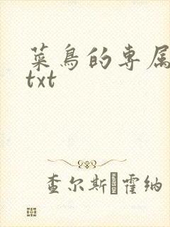 菜鸟的专属大神txt