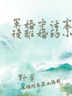 军婚守活寡重生后离婚的小说