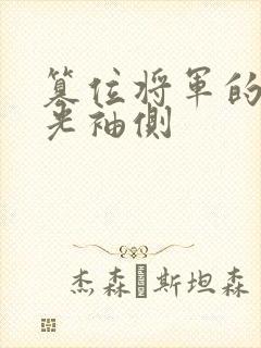 篡位将军的白月光袖侧