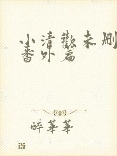 小清欢未删减版番外篇