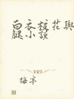 白衣校花与大长腿小说