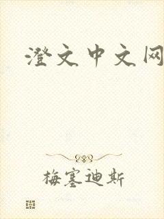 澄文中文网