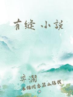 有缝 小说