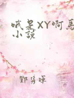 哦是XY啊马仔小说