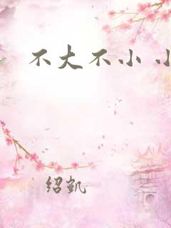 不大不小 小说