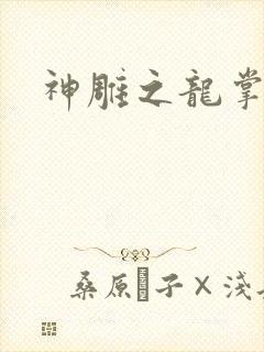 神雕之龙掌门