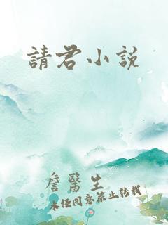 请君小说