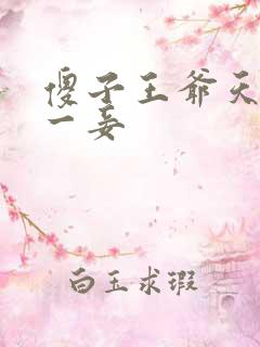 傻子王爷天下第一妾