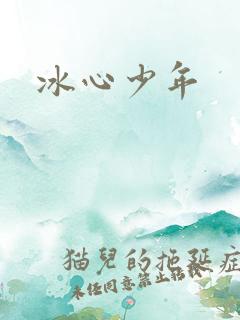 冰心少年