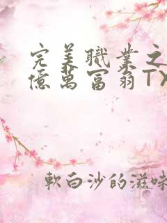 完美职业之我是亿万富翁TXT