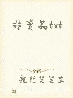 非卖品txt