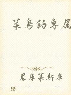 菜鸟的专属大神