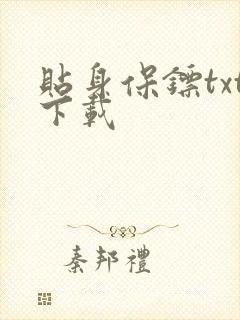 贴身保镖txt下载