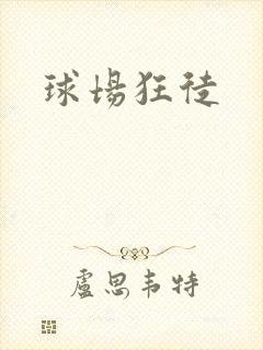 球场狂徒