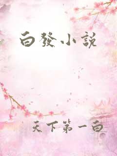 白发小说