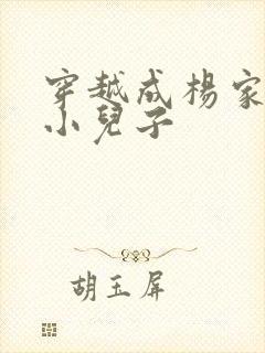 穿越成杨家将最小儿子