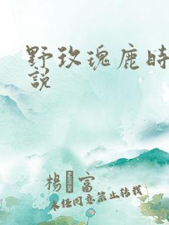 野玫瑰鹿时安小说