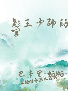 影王少帅的女长官